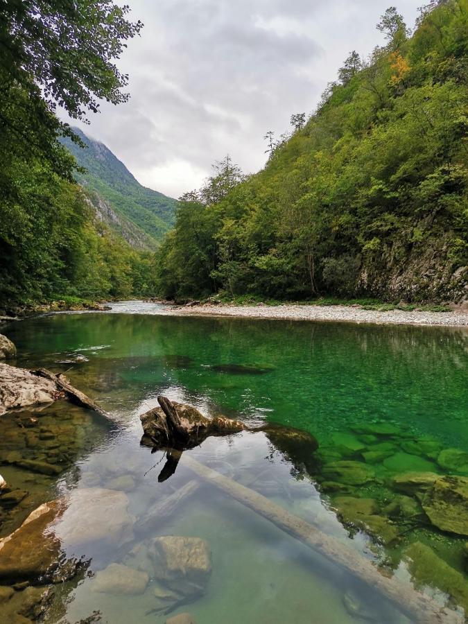 Ethno Cottage Momo Tepca Žabljak Dış mekan fotoğraf