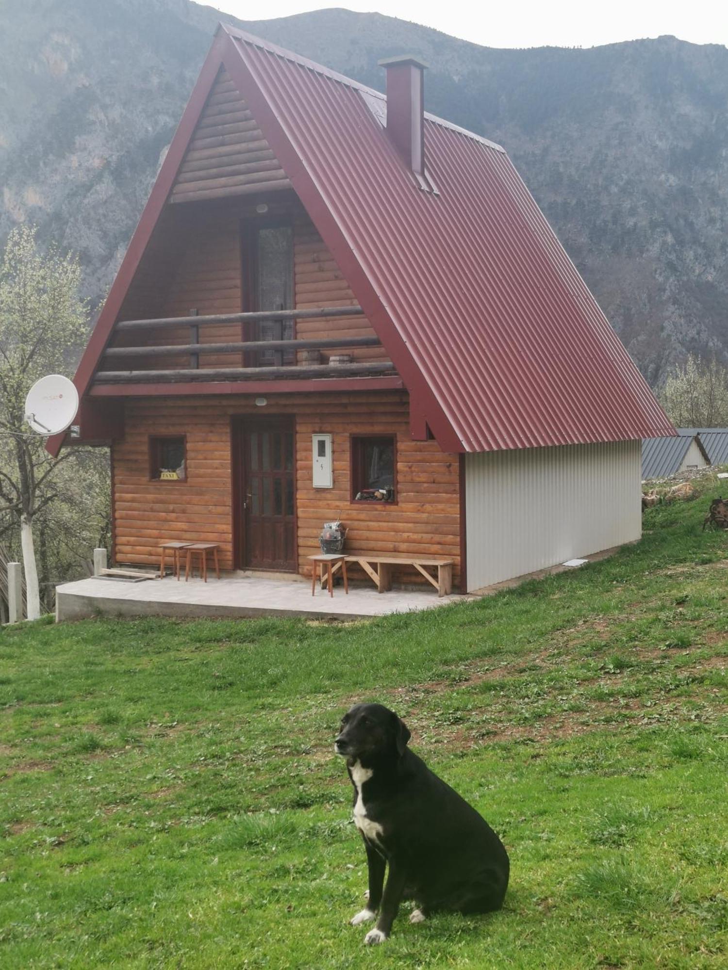Ethno Cottage Momo Tepca Žabljak Oda fotoğraf