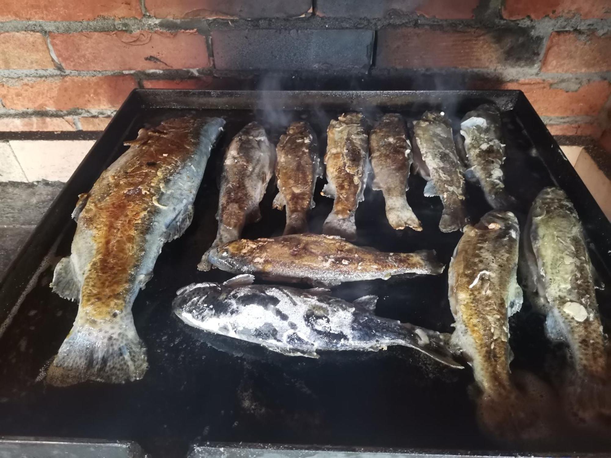 Ethno Cottage Momo Tepca Žabljak Oda fotoğraf