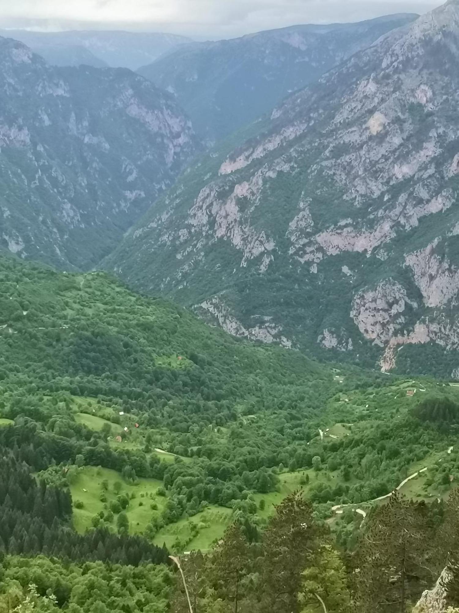 Ethno Cottage Momo Tepca Žabljak Oda fotoğraf