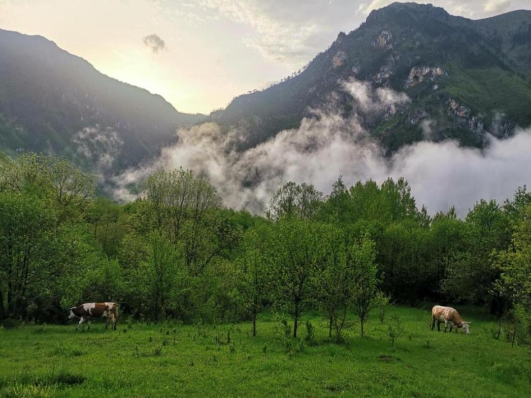 Ethno Cottage Momo Tepca Žabljak Dış mekan fotoğraf