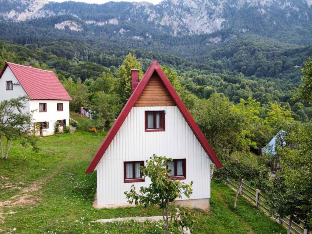Ethno Cottage Momo Tepca Žabljak Dış mekan fotoğraf